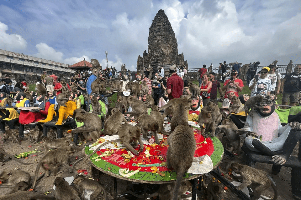 FILE - Monkeys eat fruit during monkey feast festival in Lopburi province, Thailand. Sunday, Nov. 27, 2022. Thai wildlife officials laid out a plan on Wednesday, March 3, 2024, to bring peace to a central Thai town after at least a decade of human-monkey conflict. (AP Photo/Chalida EKvitthayavechnukul, File) FILE - Monkeys eat fruit during monkey feast festival in Lopburi province, Thailand. Sunday, Nov. 27, 2022. Thai wildlife officials laid out a plan on Wednesday, March 3, 2024, to bring peace to a central Thai town after at least a decade of human-monkey conflict. (AP Photo/Chalida EKvitthayavechnukul, File)