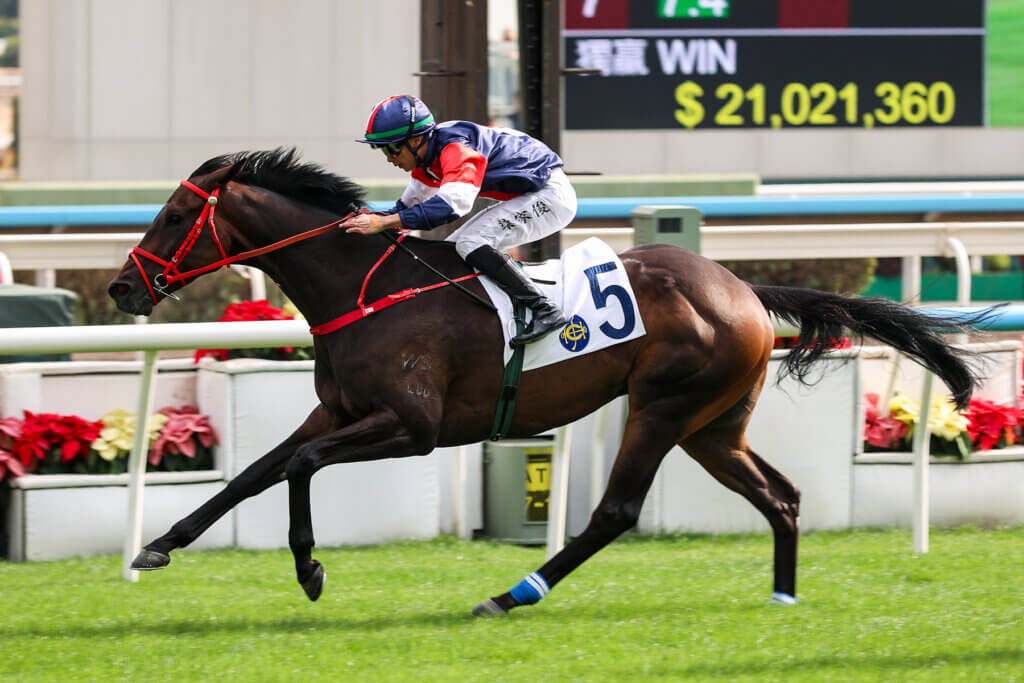 NUMBERS, DEREK LEUNG / Sha Tin // 2025 /// Photo by HKJC NUMBERS, DEREK LEUNG / Sha Tin // 2025 /// Photo by HKJC