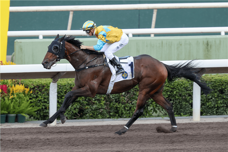 Eight-time champion jockey Zac Purton climbs back aboard Mr Energia at Sha Tin on Sunday (HKJC) 