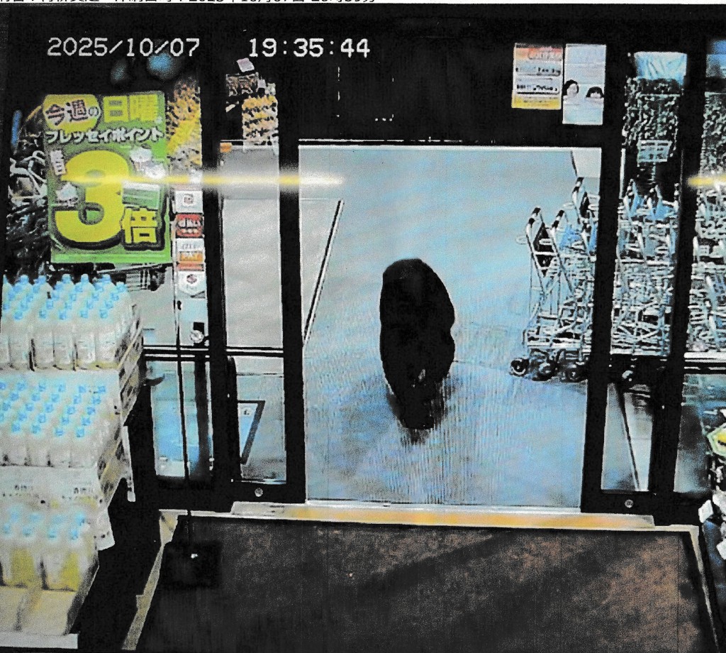 This handout photo taken on October 7, 2025 and released by Gunma Prefectural Police via Jiji Press shows a CCTV camera footage of a bear walking inside a supermarket in Numata, Gunma prefecture. A bear roamed into a supermarket in central Japan on the evening of October 7, injuring two men in the latest of a string of bear attacks, officials said. (Photo by various sources / AFP)
