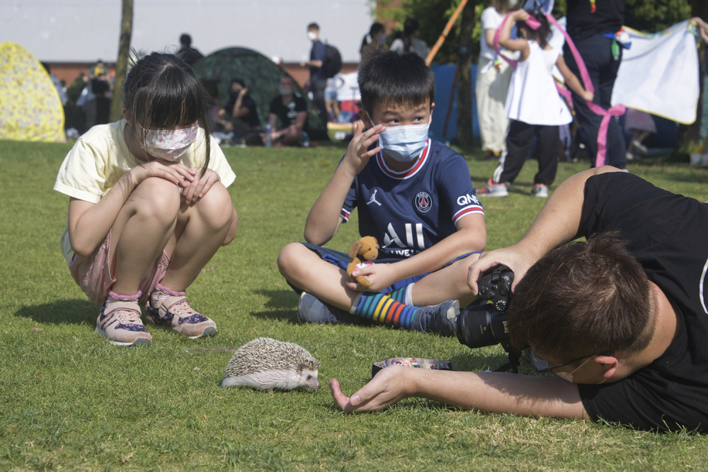 West Kowloon Park West Kowloon Park