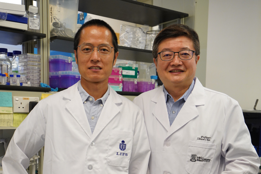 Dang Shangyu (left) Chen Zhiwei (right) Dang Shangyu (left) Chen Zhiwei (right)