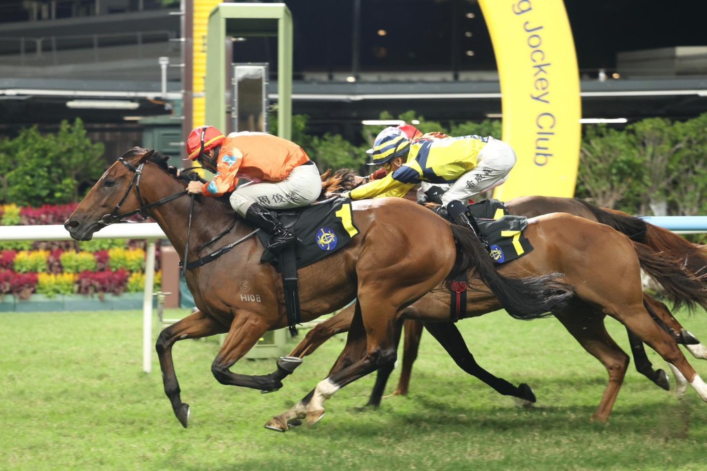 Speedy Smartie wins on the quick back up at Happy Valley on Wednesday night SING TAO 