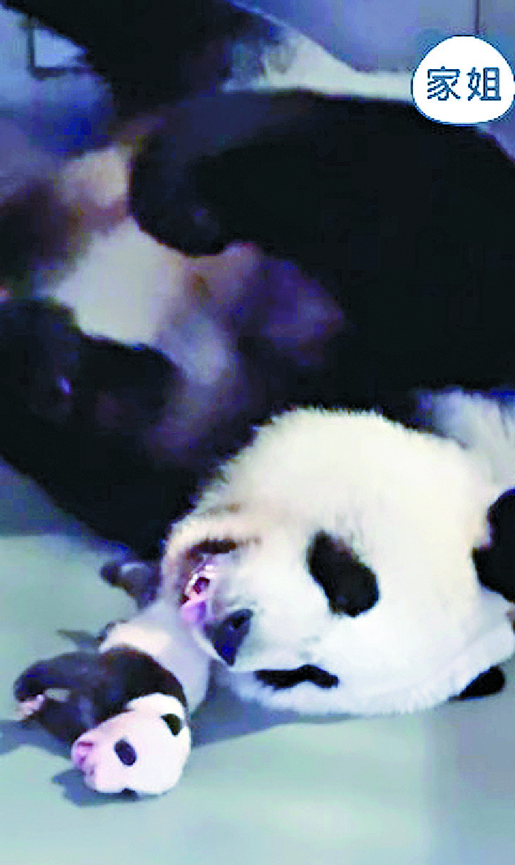 Scan for video Scan for video