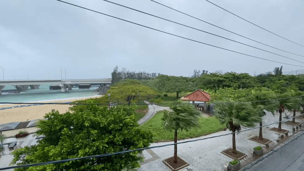 Trees sway in strong winds as Typhoon Dolphin approaches, in Naha, Okinawa Prefecture, Japan, August 7, 2026, in this screengrab obtained from a social media video. @SleepdeeplyGG/X/via REUTERS
