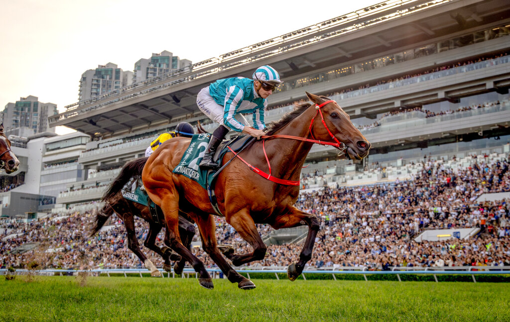 ROMANTIC WARRIOR, JAMES McDONALD / G1 QEII Cup // Sha Tin /// 2026 //// Photo by HKJC ROMANTIC WARRIOR, JAMES McDONALD / G1 QEII Cup // Sha Tin /// 2026 //// Photo by HKJC