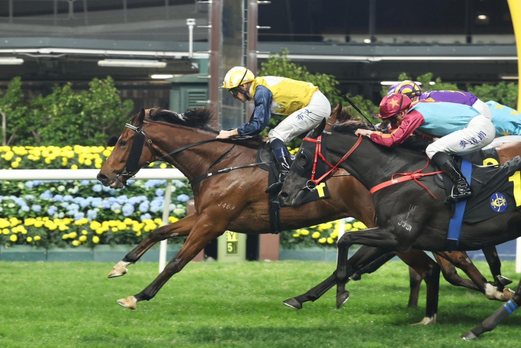 David Hayes declared Hugh Bowman's ride on Star Brose was 'ten-out-ten often". Singtao 