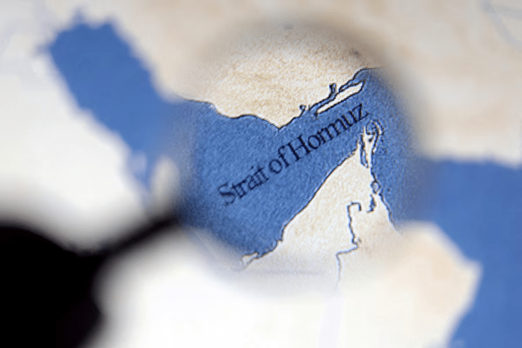 A map showing the Strait of Hormuz is seen in this illustration taken June 22, 2025. REUTERS/Dado Ruvic/Illustration//File Photo 