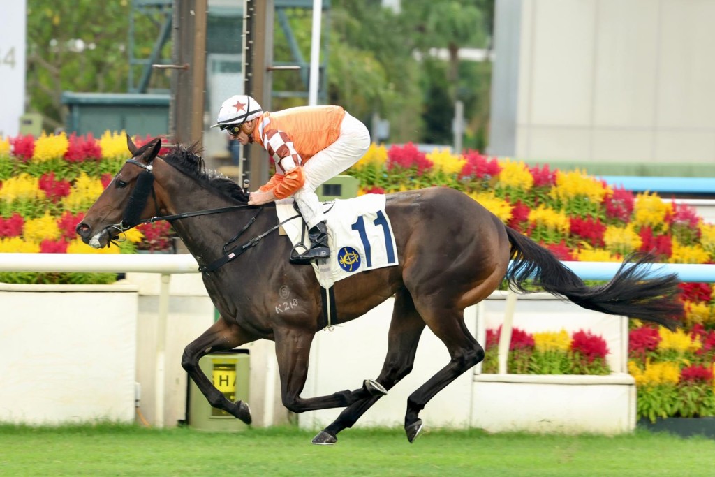 Bulb General cruises in for the win (SING TAO)