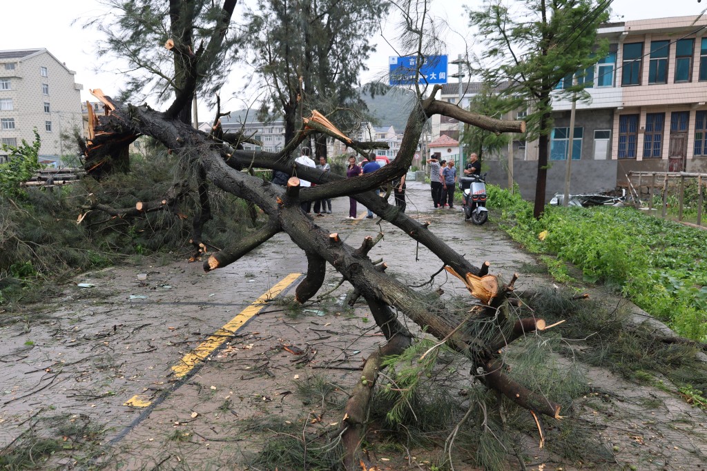 People look at damage from Typhoon Bavi in Wenling, in China’s eastern Zhejiang province on July 12, 2026. (AFP)