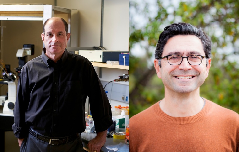From left: David Julius and Ardem Patapoutian on Monday won the Nobel Medicine Prize. From left: David Julius and Ardem Patapoutian on Monday won the Nobel Medicine Prize.