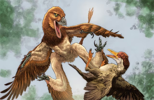 This illustration shows the newly identified dinosaur Jian changmaensis (left) attacking the bird Gansus yumenensis in what is now the Changma Basin of northwestern China approximately 120 million years ago. The illustration was released on June 4, 2026. Illustration by Lewis LaRosa, colorized by Jao Canola/Handout via REUTERS