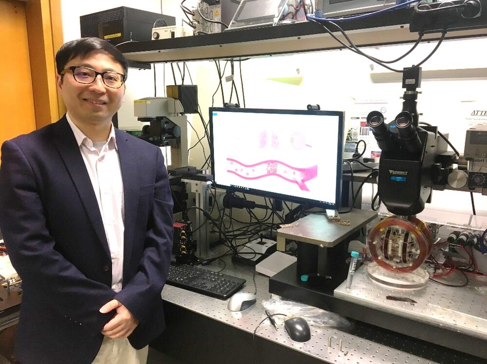 The CUHK research team proposed a new strategy to navigate micro swarm in real-time under a new method, called ultrasound Doppler imaging guidance. The CUHK research team proposed a new strategy to navigate micro swarm in real-time under a new method, called ultrasound Doppler imaging guidance.