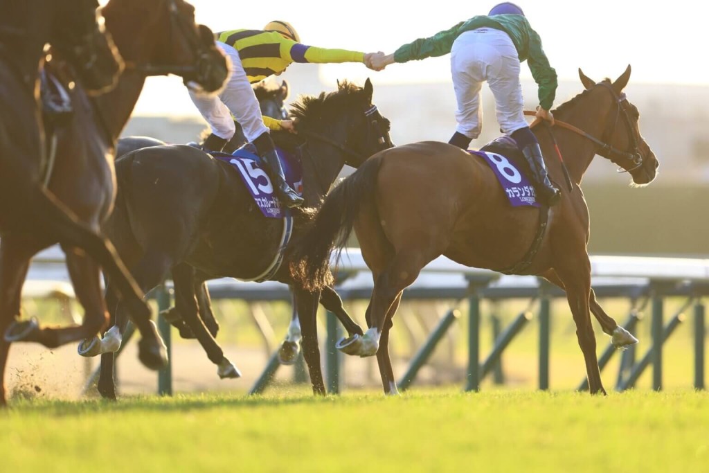Christophe Lemaire (left, Masquerade Ball) and Mickael Barzalona (right, Calandagan) lock hands after the Japan Cup. Shuhei Okada/Idol Horse.