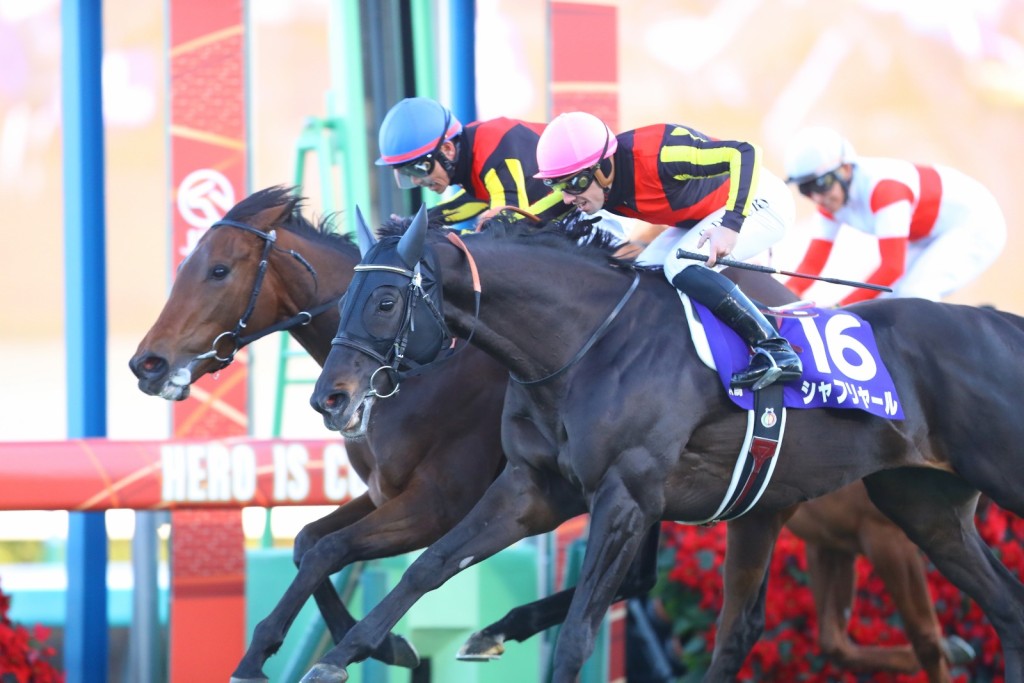 Regaleira wins the 2024 G1 Arima Kinen at Nakayama. Could she come to Sha Tin in December? (Idol Horse) 