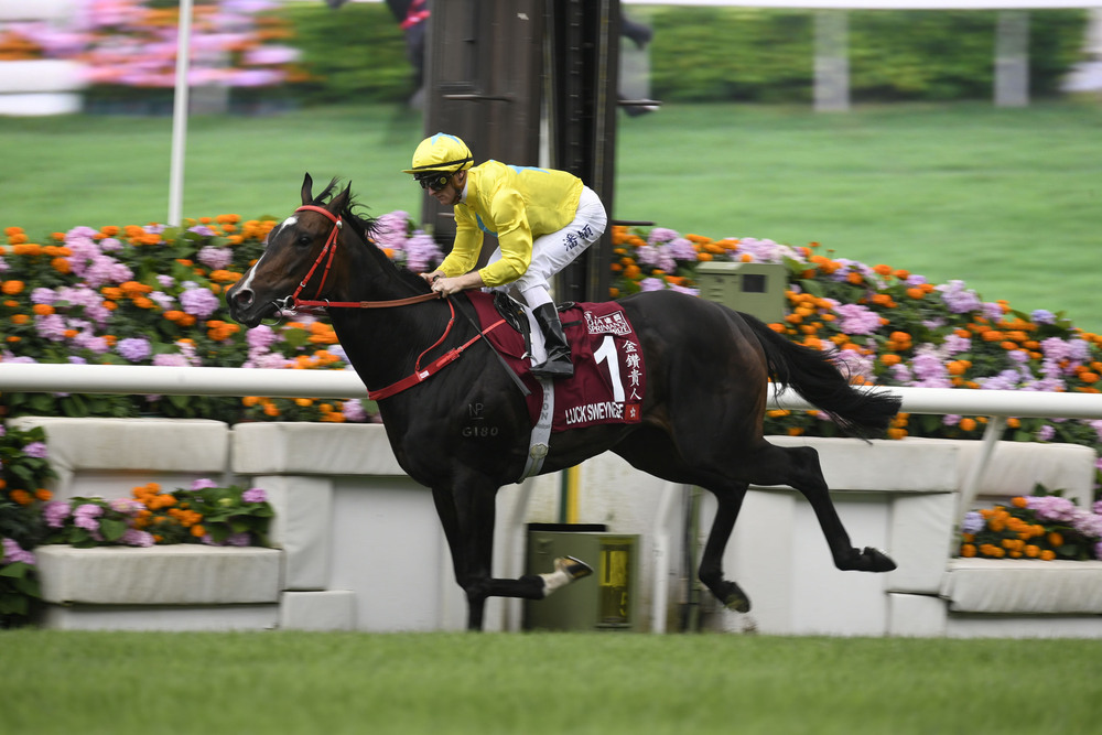 Lucky Sweynesse has improved during the short break, says jockey Zac Purton. SINGTAO Lucky Sweynesse has improved during the short break, says jockey Zac Purton. SINGTAO