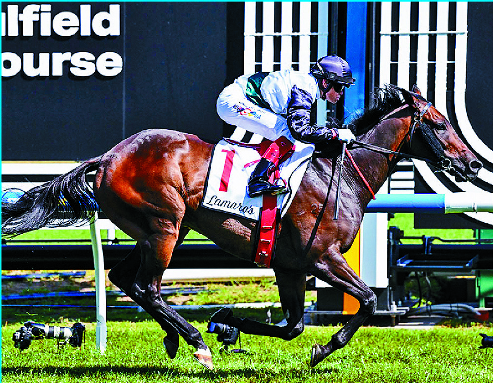 Mr Brightside Mr Brightside