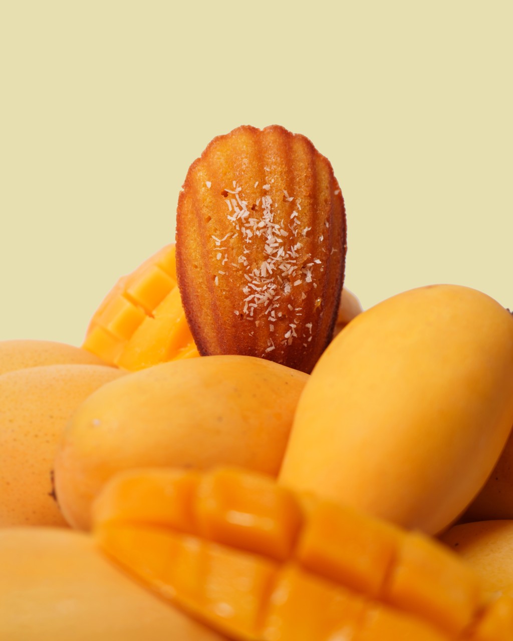 Over the Moon — Created for Mid-Autumn Festival, the seasonal madeleine combines mango-infused sponge with chewy dried mango and a light dusting of coconut.