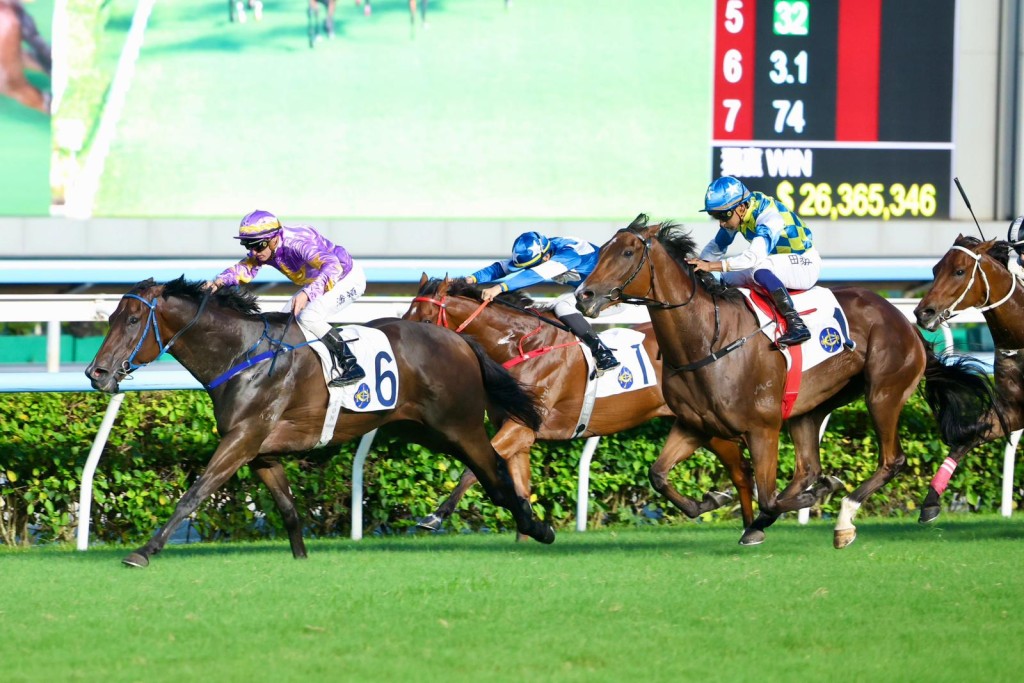 Little Paradise, first left, is back on track with Hong Kong Mile in sight.