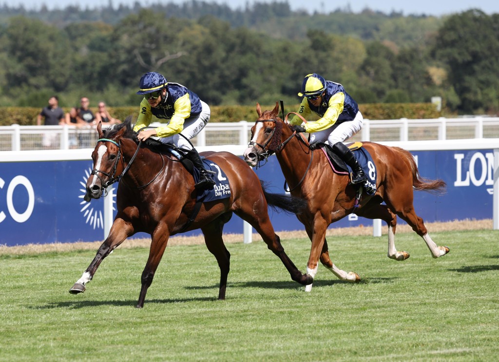 Jerry Chau steers Tuco Salamanca to an impressive victory in the Shergar Cup Dash Handicap (1000m). Gold Star Hero finishes second under team captain Vincent Ho. (Source: Hong Kong Jockey Club)