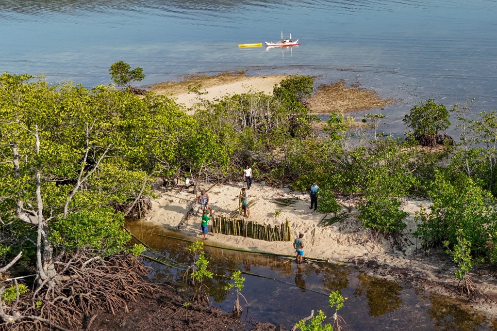 Photo by JAM STA ROSA / AFP  This aerial photo taken on April 16, 2026, shows men working on bamboo fences to protect the mangroves at Ticao Island, in the province of Masbate.