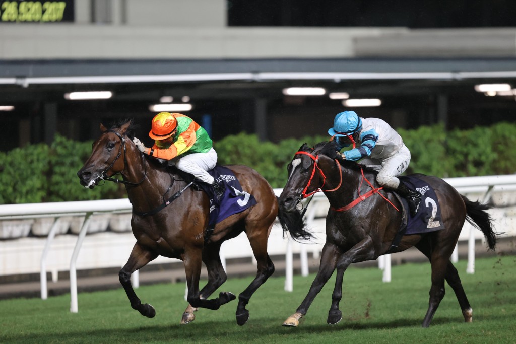 Healthy Healthy holds off Act Of Faith at Happy Valley in October 2023, he makes his seasonal return oN Wednesday after some good trials and has drawn well (HKJC) 
