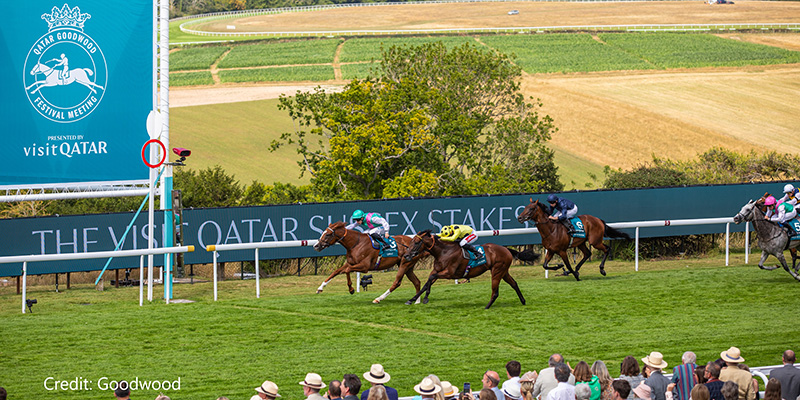 Goodwood racing action. HKJC