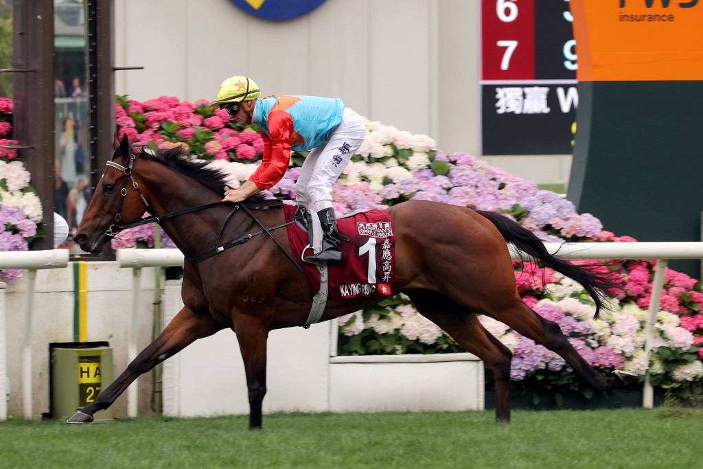 Ka Ying Rising claims his 12th consecutive victory in dominant fashion to the delight of Zac Purton and trainer David Hayes.