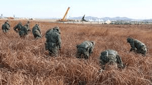 Soldiers have scoured the site of the Jeju Air passenger plane crash © - / YONHAP/AFP Soldiers have scoured the site of the Jeju Air passenger plane crash © - / YONHAP/AFP