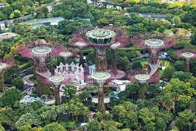 Gardens by the Bay