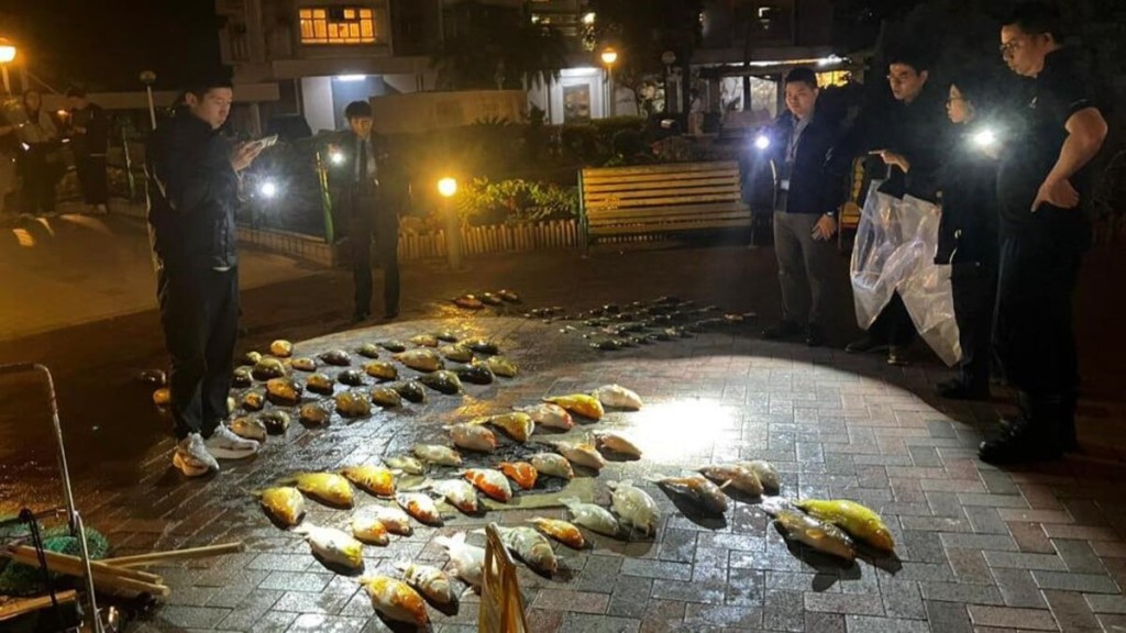 More than 100 fish were found dead.