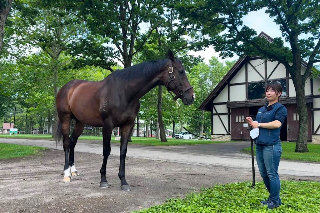 GOLDEN SIXTY, MASAMI TAZAWA / Northern Horse Park // 2026 /// Photo by Idol Horse GOLDEN SIXTY, MASAMI TAZAWA / Northern Horse Park // 2026 /// Photo by Idol Horse