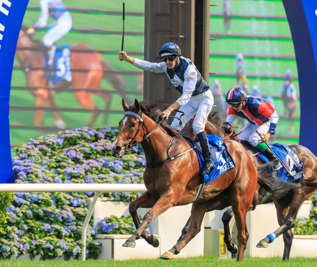 Invincible Ibis swoops to win the BMW Hong Kong Derby. Grant Courtney/Idol Horse