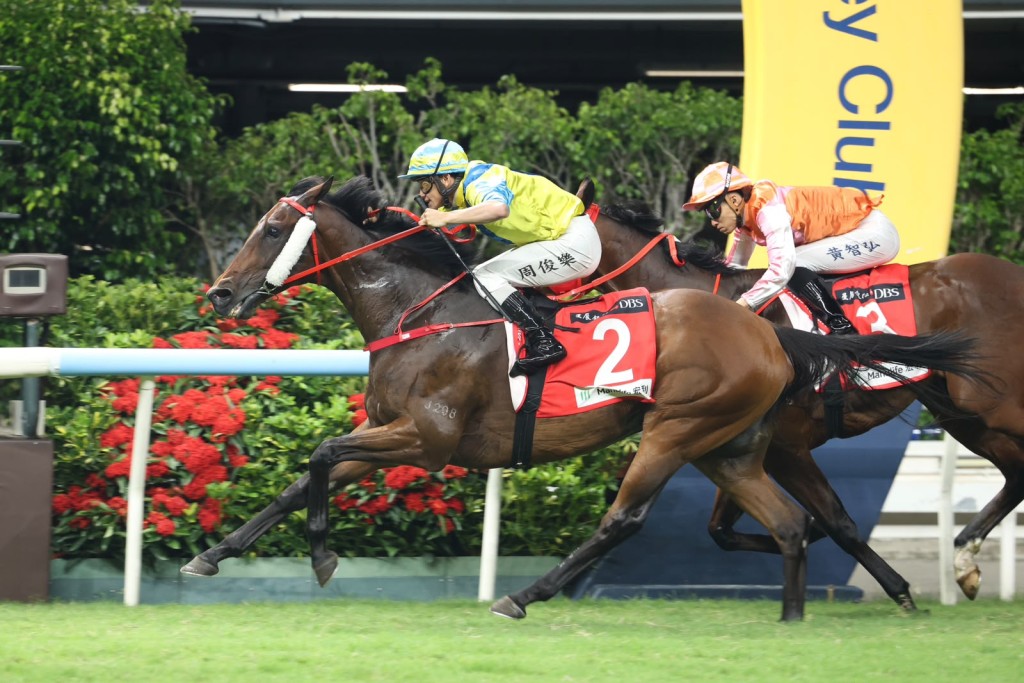 2024 Hong Kong Derby winner Massive Sovereign returns to winning ways. SIngTao.