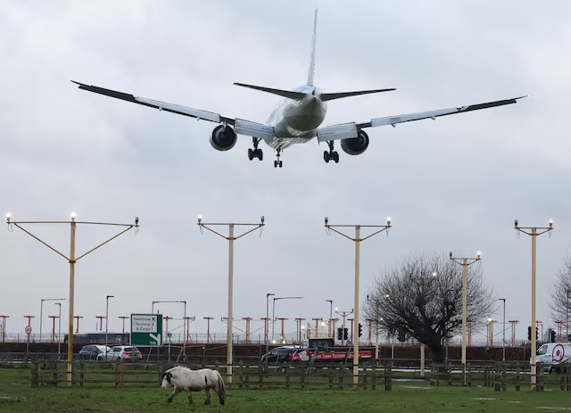 A passenger plane flies over a horse grazing as it makes its landing approach to Heathrow Airport in west London, Britain, January 28, 2025. REUTERS/Toby Melville/File Photo 