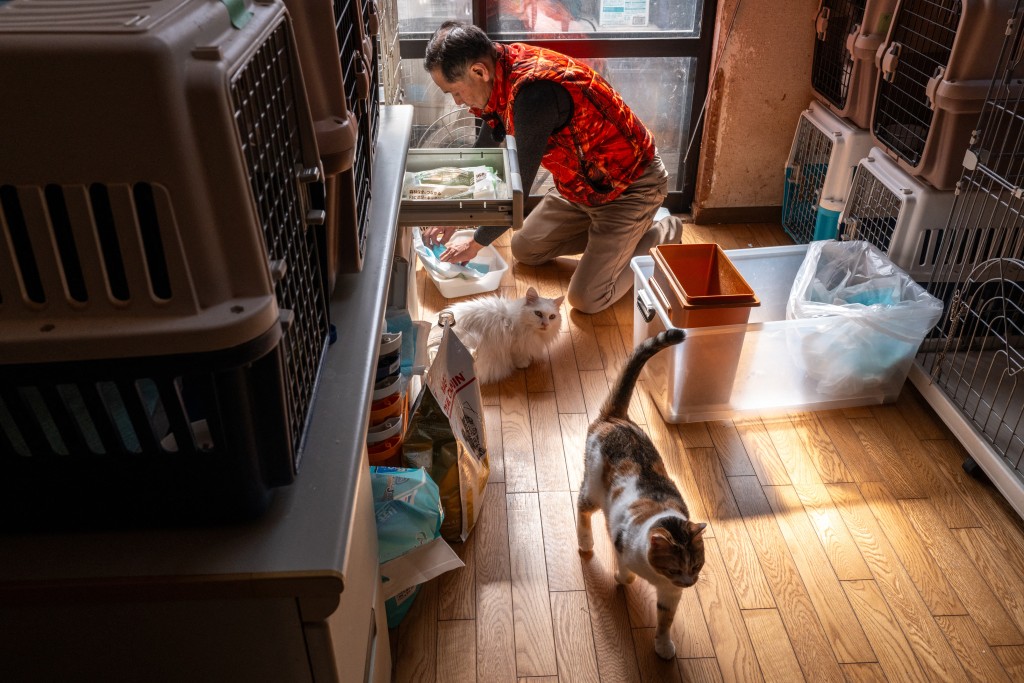 Photo by PHILIP FONG / AFP  This picture taken on March 5, 2026 shows former nuclear plant worker Toru Akama feeding cats at his animal shelter in Namie, Fukushima prefecture.