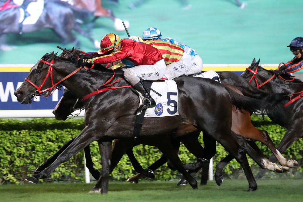 Encountered trained by Manfred Man and ridden by Derek Leung, takes HK Racehorse Owners Association Trophy. Encountered trained by Manfred Man and ridden by Derek Leung, takes HK Racehorse Owners Association Trophy.