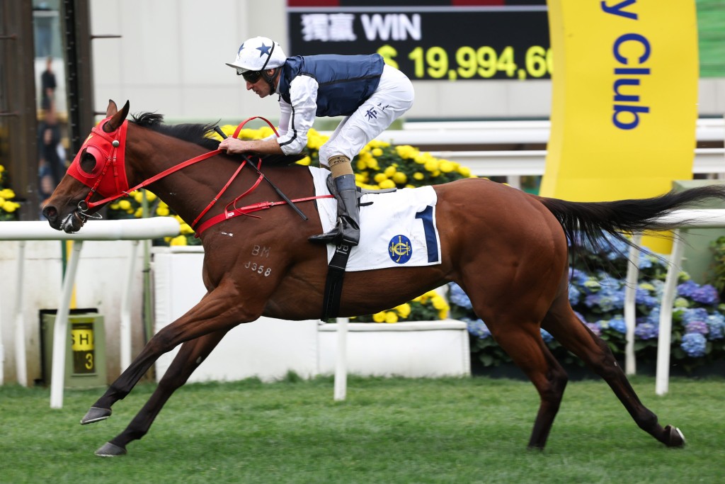 Fast Network, seen here winning in Class 2 in March, comes back to 1000m with blinkers back on (HKJC) 