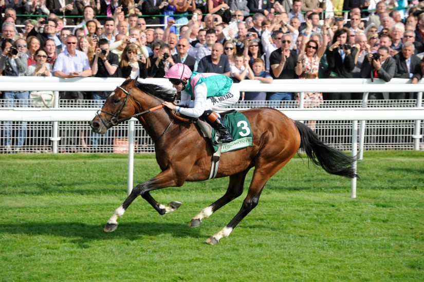 York racing action. Credit: York Racecourse
