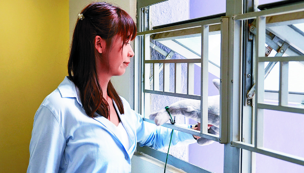 A reporter ties a stuffed toy to a string and lowers it from an estate's fifth-floor corridor window for a test. The surveillance system uses AI for analysis, far right, with a line tracking the trajectory of the falling object and a circle highlight