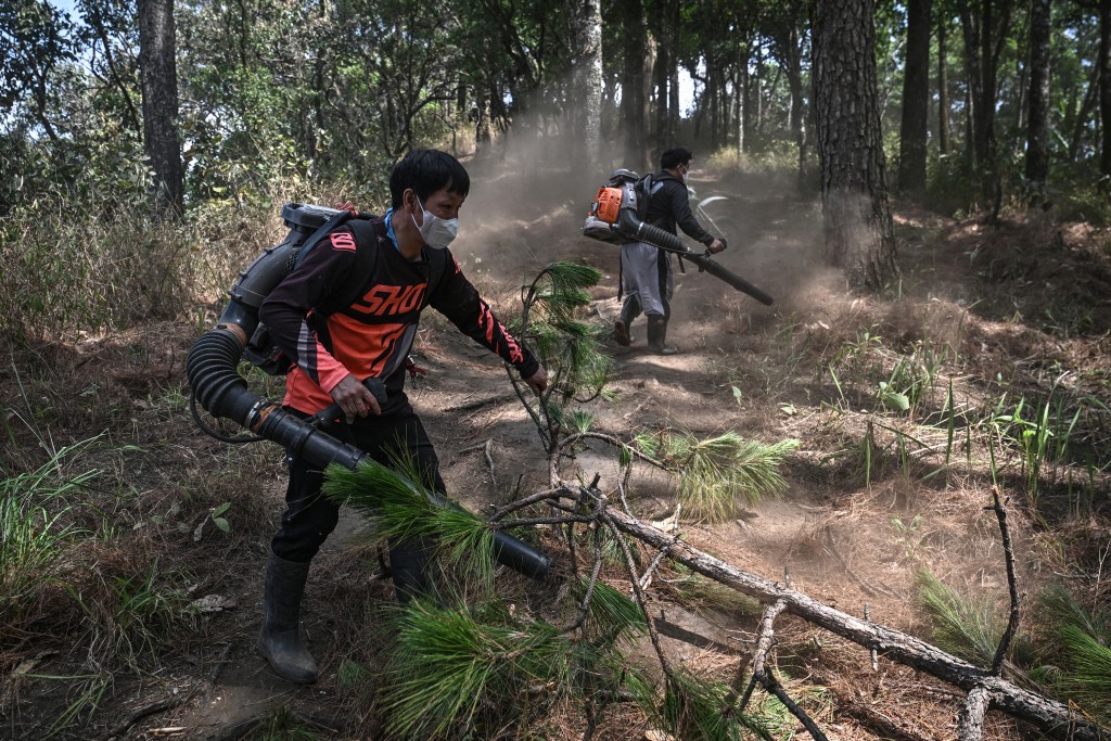 Photo by LILLIAN SUWANRUMPHA / AFP  This photo taken on March 16, 2026 shows volunteer firefighters from Hmong Doi Pui village using leaf blowers to clear a firebreak in the Doi Suthep-Pui National Park area of Chiang Mai.