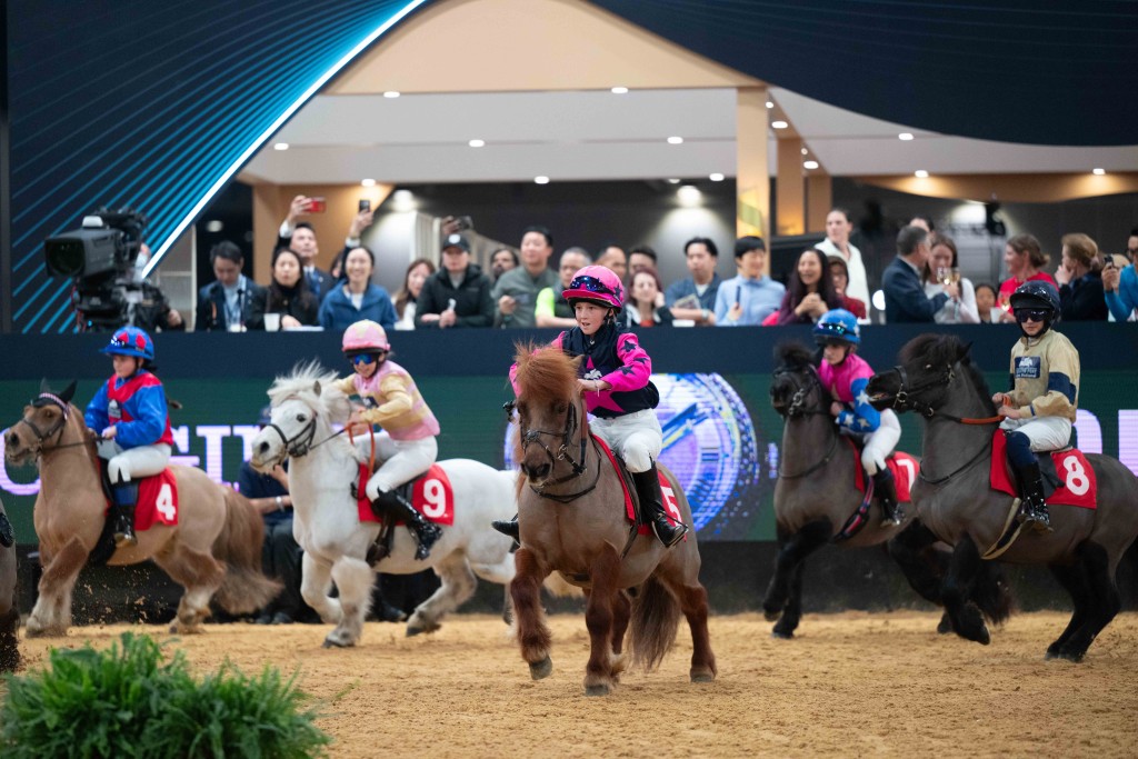 The prestigious 5‑star international showjumping classes headline the three‑day programme together with the Hong Kong Jockey Club Asia Pacific Youth Challenge, Shetland Pony Grand National and Airport Authority Hong Kong Presents: Hong Kong Dog Agility competition. The prestigious 5‑star international showjumping classes headline the three‑day programme together with the Hong Kong Jockey Club Asia Pacific Youth Challenge, Shetland Pony Grand National and Airport Authority Hong Kong Presents: Hong Kong Dog Agility competition.