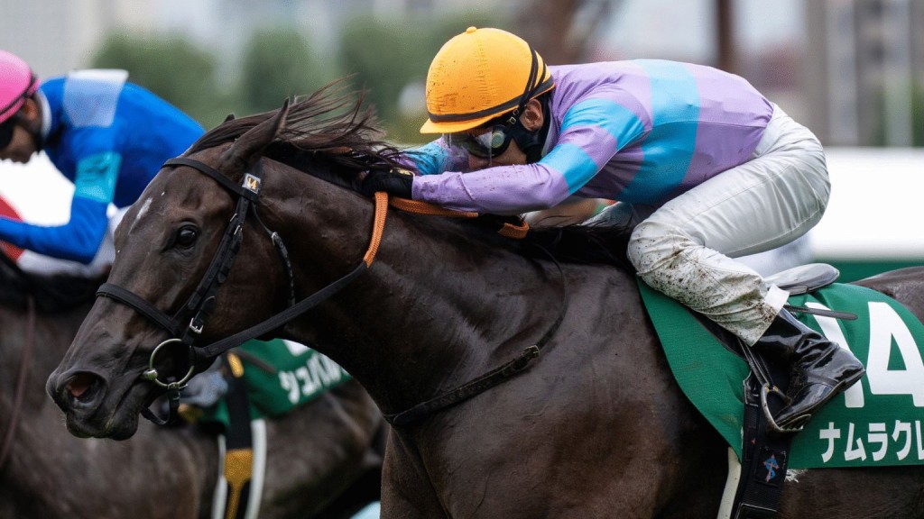 Namura Clair wins the 2023 G3 Keeneland Cup at Sapporo (IDOL HORSE/@gomashiophoto)