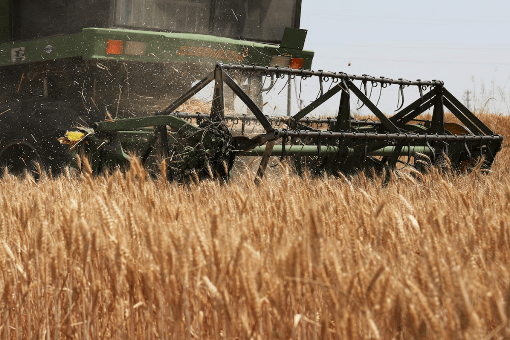 A combine harvester works on a wheat field at Qian county in Xianyang, Shaanxi province, China May 29, 2025. REUTERS/Florence Lo/File Photo
