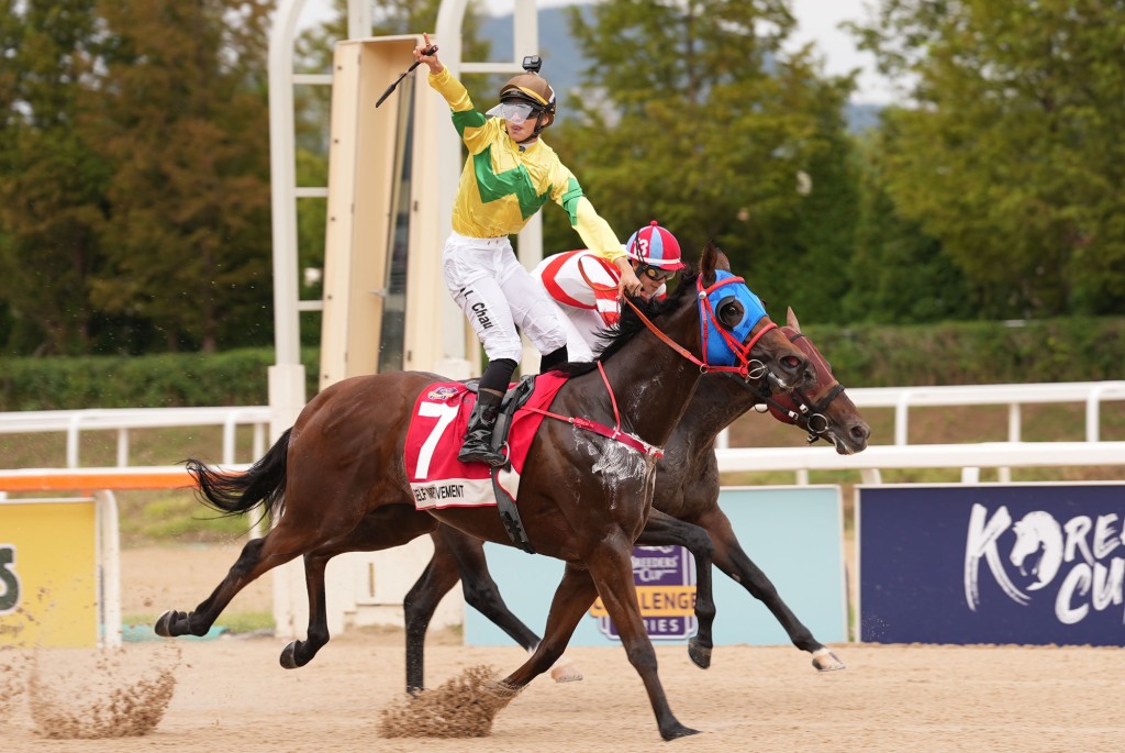 Jerry Chau rises high in the irons to celebrate Self Improvement's win in the Korea Sprint (Sing Tao) 