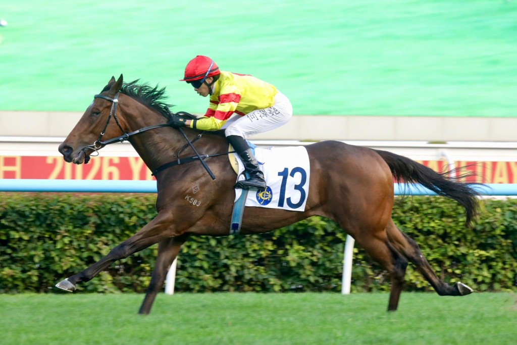 Hot Delight. Singtao