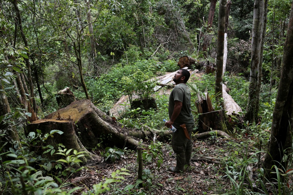 Local ranger Amran Siagian, 39, looks for orangutans in an area that he says is a remnant of illegal logging activity, in the forest of Sipirok, South Tapanuli, North Sumatra province, Indonesia, December 8, 2025. REUTERS/Willy Kurniawan