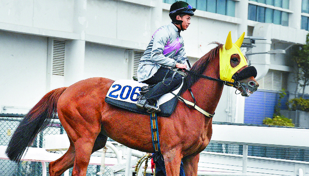 Mondial before a barrier trial.
