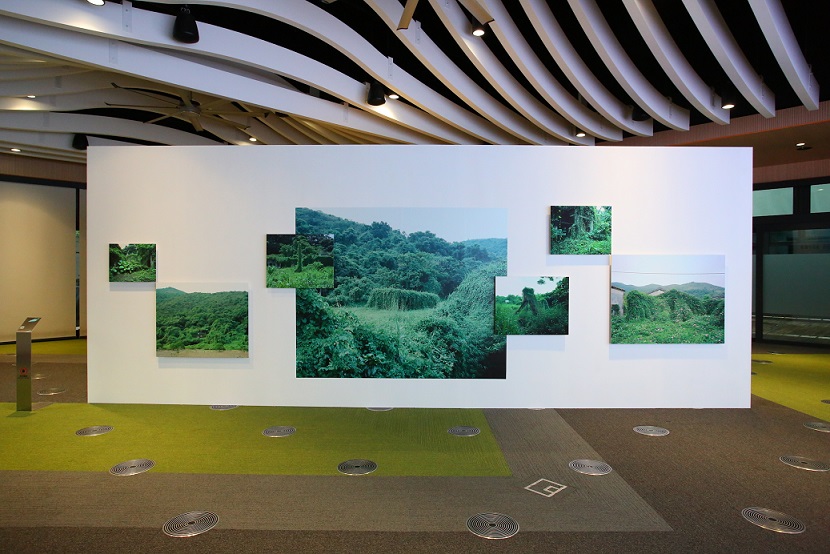 Landscaped Artifacts, photos from Lau Chi-chung.