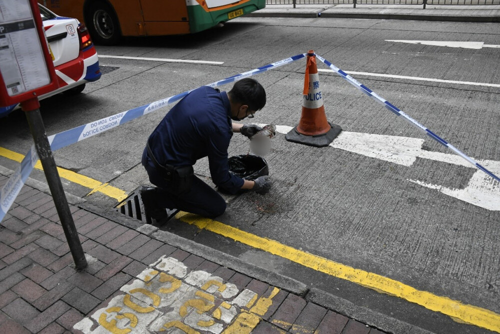 Police arrest 'turtle thrower' on suspicion of animal abuse